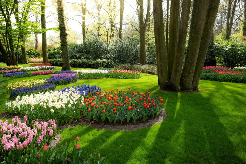 Colorful flower beds in a lush green park